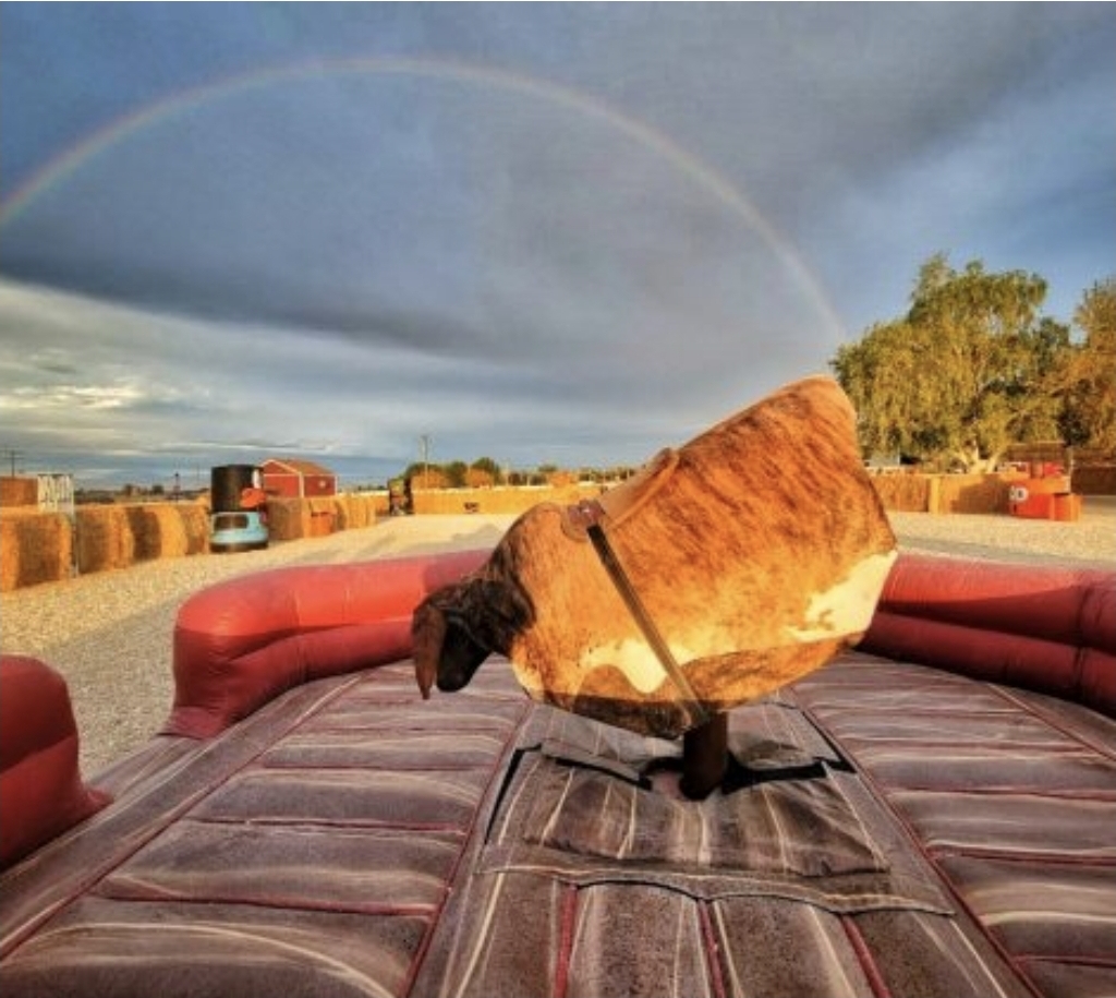 Mechanical Bull