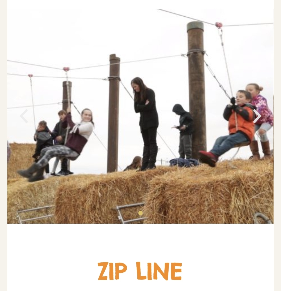 Zip Line