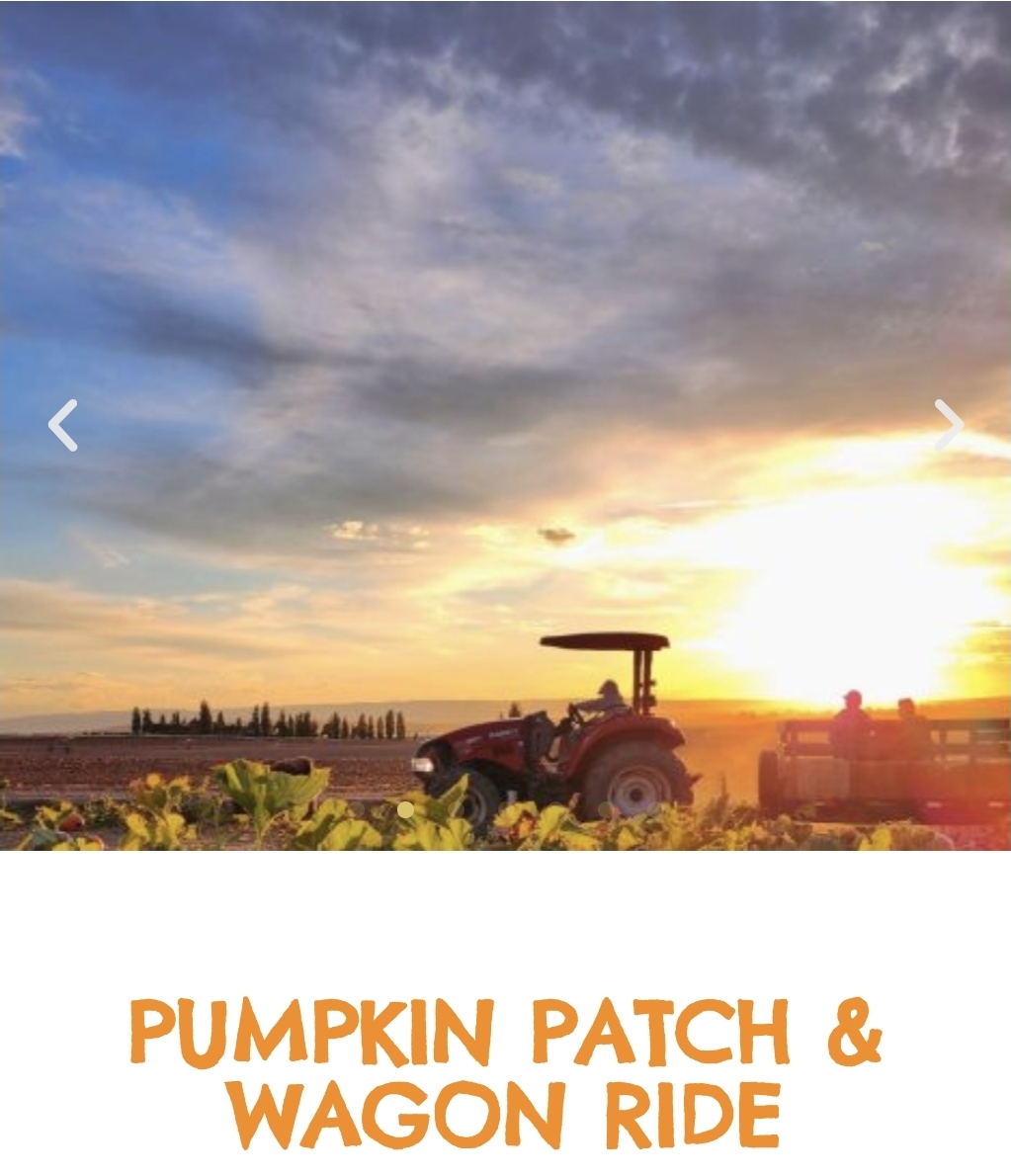Pumpkin Patch & Wagon Ride