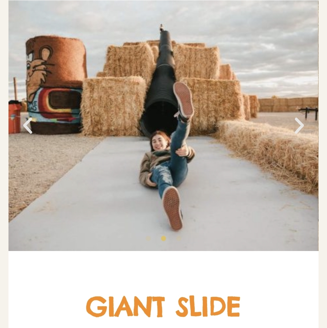 Giant Slide
